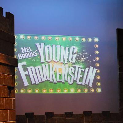 10/27/2023 - Young Frankenstein, The Musical was delightful!