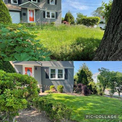 Here we have a simple before and after of an overgrown lawn