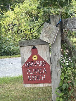 The sign for the alpaca ranch.