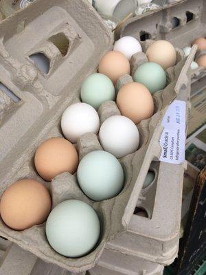 Interesting farm fresh eggs. So cute!