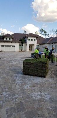 Fresh sod ready for installation.