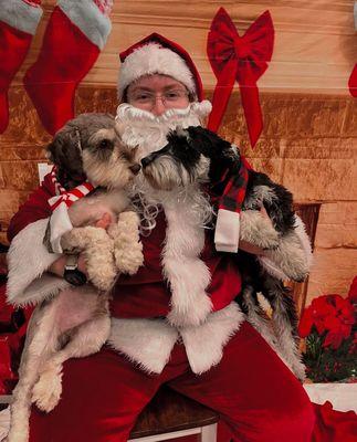 Link and Ham at doggie daycare meeting Santa!