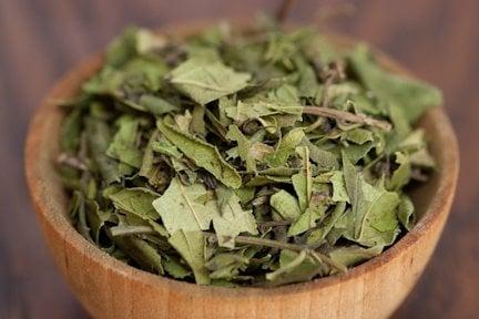 Gesho ..Aroma hops leaves used for brewing beer and honey wine ...available in our oakland spice store or online @ www.brundo.co