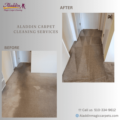 Aladdin carpet cleaning services.