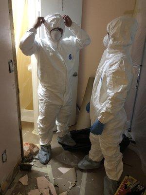 Mold restoration