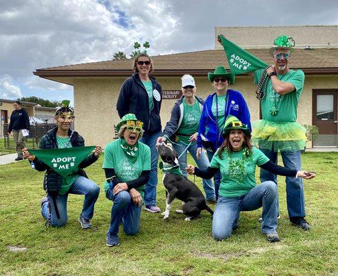 Volunteer fun at Ventura County Animal Services!