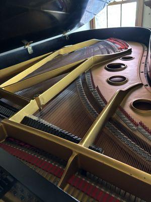 My 1964 Yamaha grand piano after DC replaced the hammers.