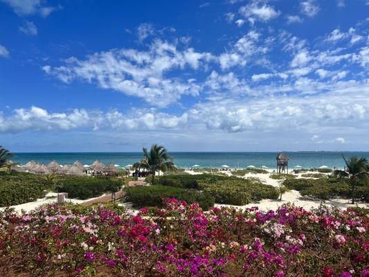 Beach View