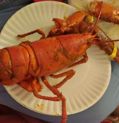 Steamed lobster right out of the Weiss plastic bag and onto our paper plate lol