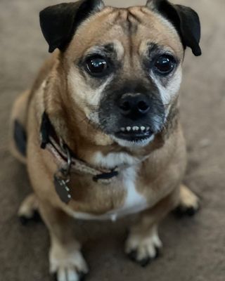 Her little Teefers!