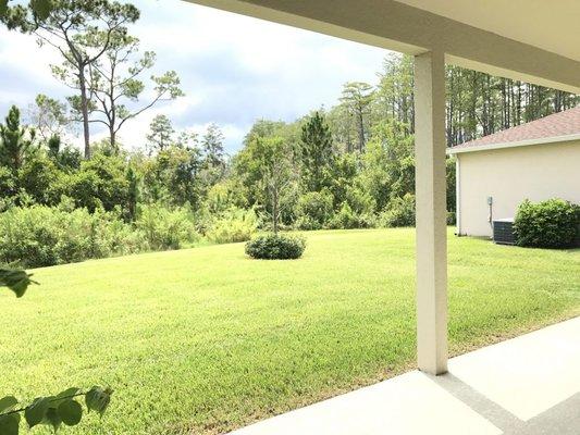 A peaceful quiet backyard with lush trees and greenery provides the best place in the house for relaxation!