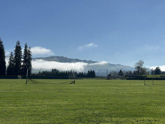 Sun burning off the morning fog, blue skies/green grass!