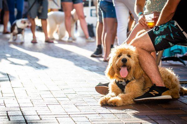 Outlets at San Clemente is dog-friendly! Stop by Customer Service next to GUESS with your fur-friend and they'll get a free treat.