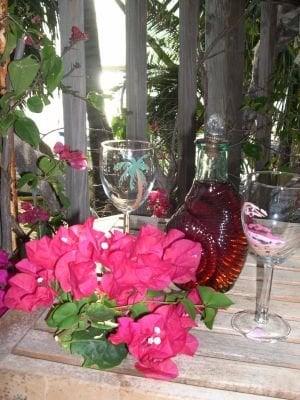 Pick a bunch of bougainvillea and enjoy a glass of red wine on the back porch of our upstairs one bedroom rental unit.