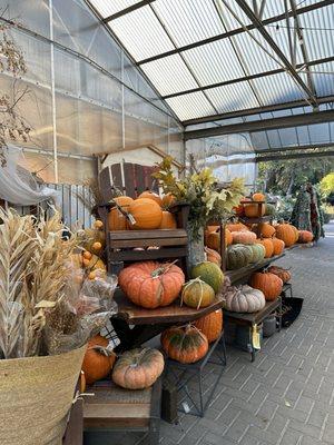 Bushnell Gardens Nursery