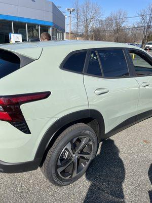 Cacti Green color and I love this car so much!