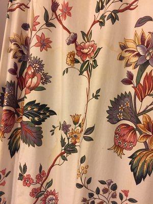 Stained shower curtain.