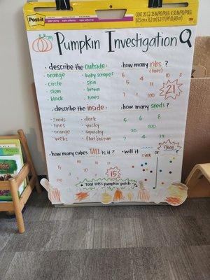 It's all about the pumpkin! Children take part in classroom community chats that help with self confidence and discovery.