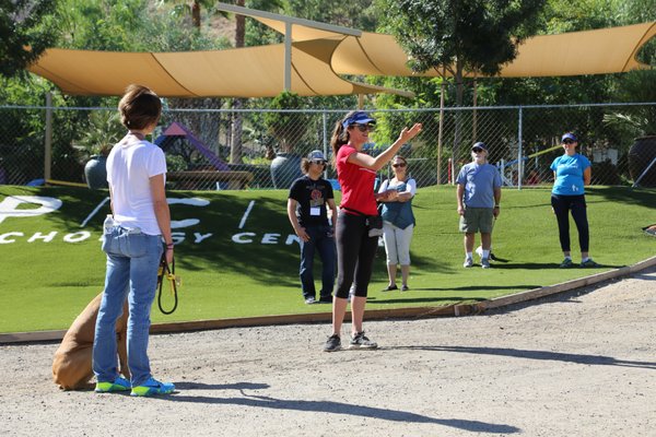 Hands on training at Cesar Millan's Dog Psychology Center