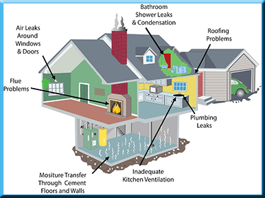 Areas Prone to Mold in the Home