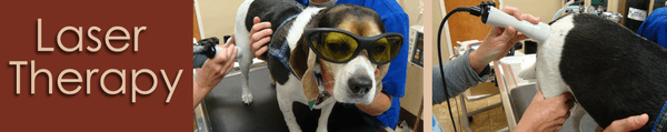 Laser Therapy