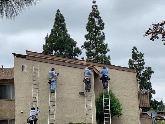 Our team not only treats for termites but we also provide custom wood repairs!