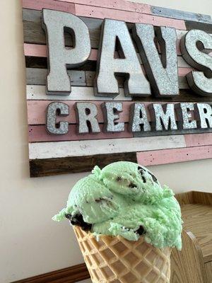 Mint Chocolate Chip