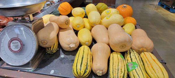 Winter Squash