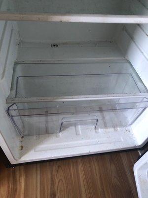 Moldy fridge