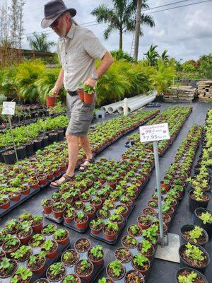 Florida Nursery Mart