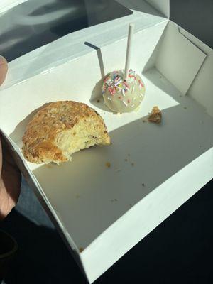 Jalapeño bacon cheddar scone and vanilla cake pop