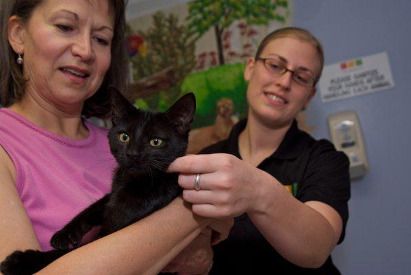 Each year thousands of animals find loving new homes at Larimer Humane Society.