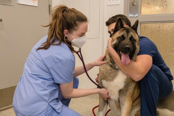 Dr. Hildenbrand listening to patient's heart.