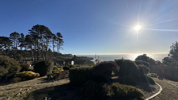 View from the patio.