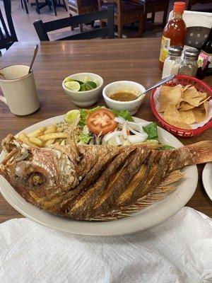 Whole Red Snapper