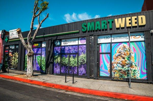 Smartweed