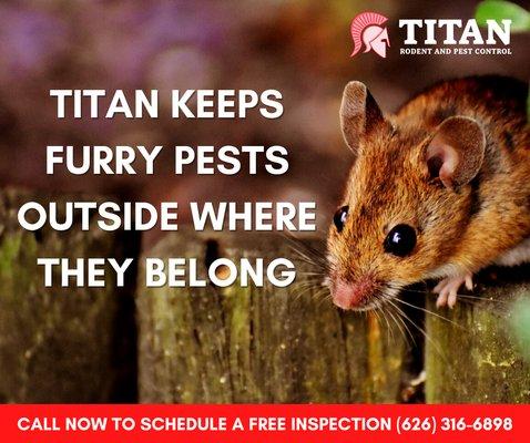 Don't let pests invade your home! Call us today to schedule a free inspection (626) 316-6725.