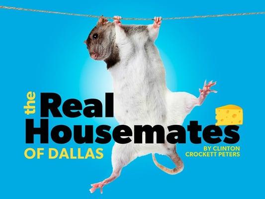 Omega lands Dallas Observer COVER STORY!   http://www.dallasobserver.com/news/dallas-has-a-rat-problem-and-it-may-be-getting-worse-7321281