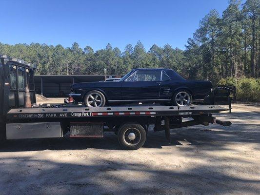 1966 Ford Mustang