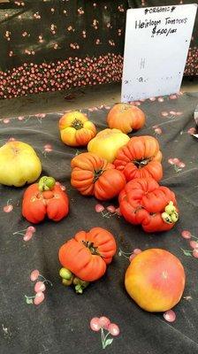 Ibarra Farms - organic heirloom tomatoes