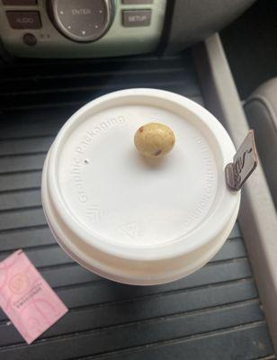 Coffee lid w signature coffee bean treat