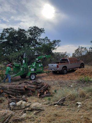 Three Brothers Tree Experts