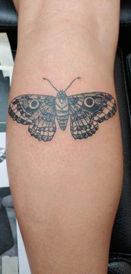 Moth tattoo