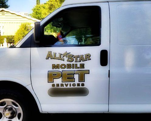 We come straight to you & your pet - easy breezy!!