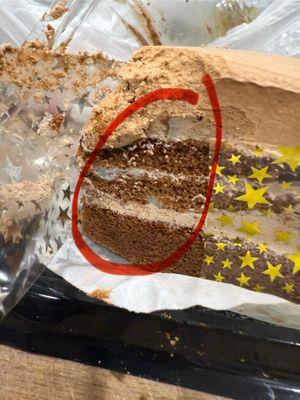 Mold on every piece of cake