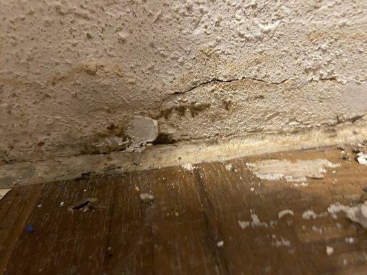 Mold with water damage