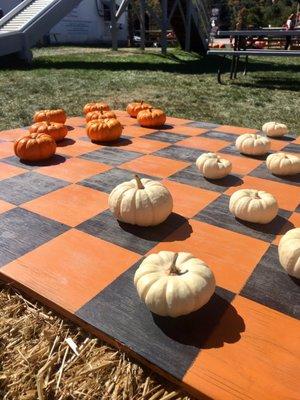 Pumpkin checkers!