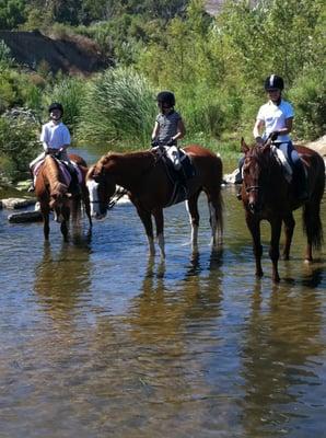 trail rides