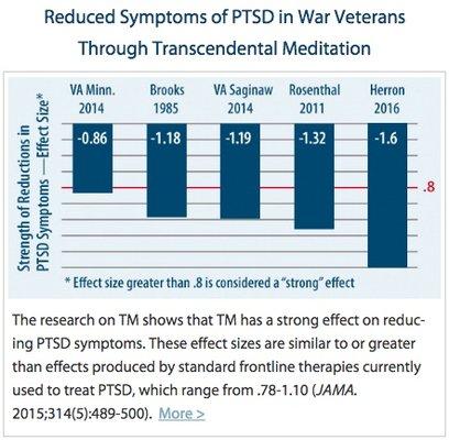 See www.TMforVeterans.org Veterans and other PTSD sufferers often report dramatic improvements in PTSD, clarity, health and joy.