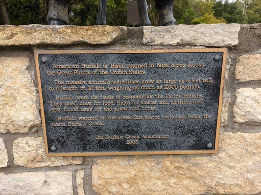 Buffalo Sculpture, Cleburne